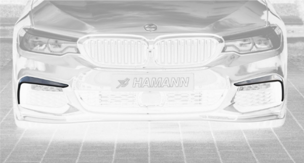 Lufteinlassblenden BMW 5 Hamann Motorsport 10G30215-SATZ