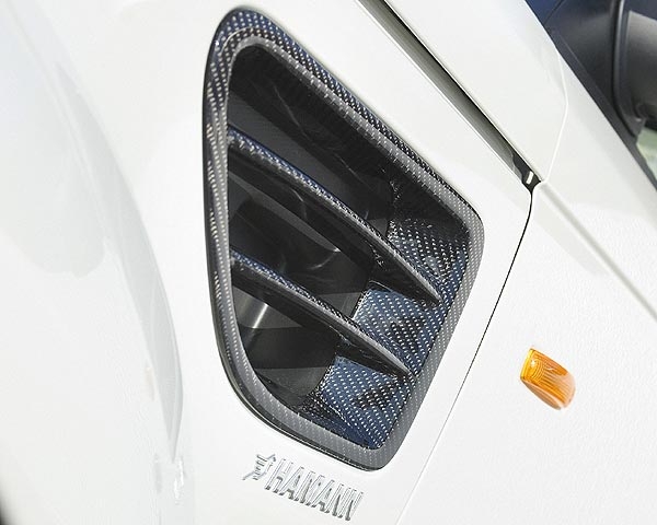 Range Rover Sport Lufteinlassblenden Carbon Hamann Motorsport