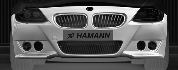 BMW Z4 Frontschürze Hamann Motorsport